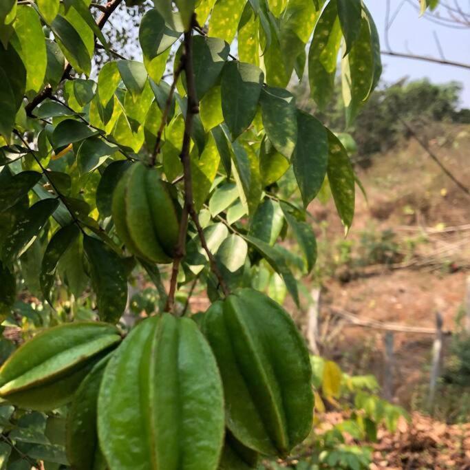 Lobville Homestay Karjat Eksteriør bilde